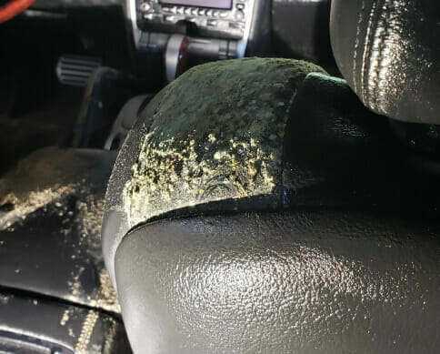 Bio-One of Bethesda is the right team for the job