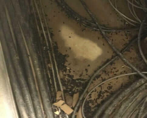 Bio-One of Bethesda, a team you can rely on.