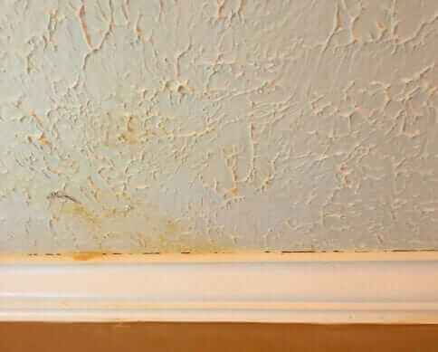 Bio-One of Bethesda, a team you can rely on.